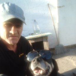 , 45, 