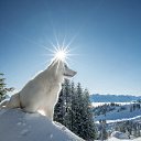 ���� ����� &������, ������, 66 ��� - ��������� 1 ������� 2025 � ������ ���� ����������