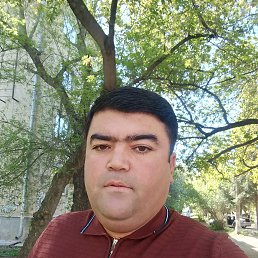 , 37, 