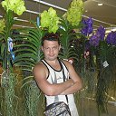 ���� ����, ������������, 41 ��� - ��������� 8 ������� 2024 � ������ ���� ����������