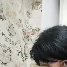 ����, �����-���������, 47 ���