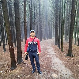 ������, ������, 41 ���