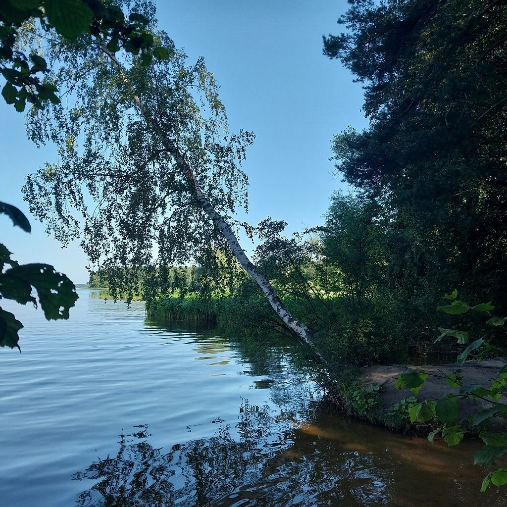 coe oopae. c p-, ococa o.  2024. op oo ec aeea - 6