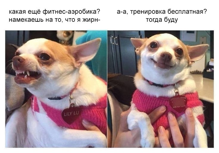 11     .        ... - 2