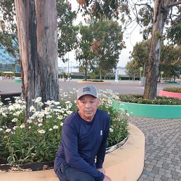 , 53, 