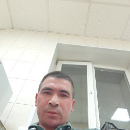 , 33, 