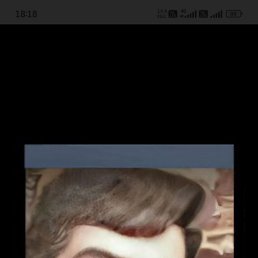 ���� ��������, ������, 52 ���� - ��������� 11 ������� 2026