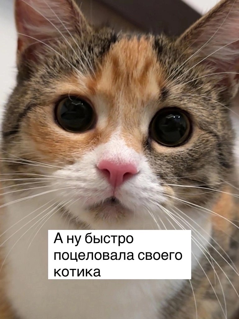 = - 4