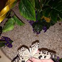 ���� �����, ������ - ��������� 19 ������ 2026 � ������ ���� ����������