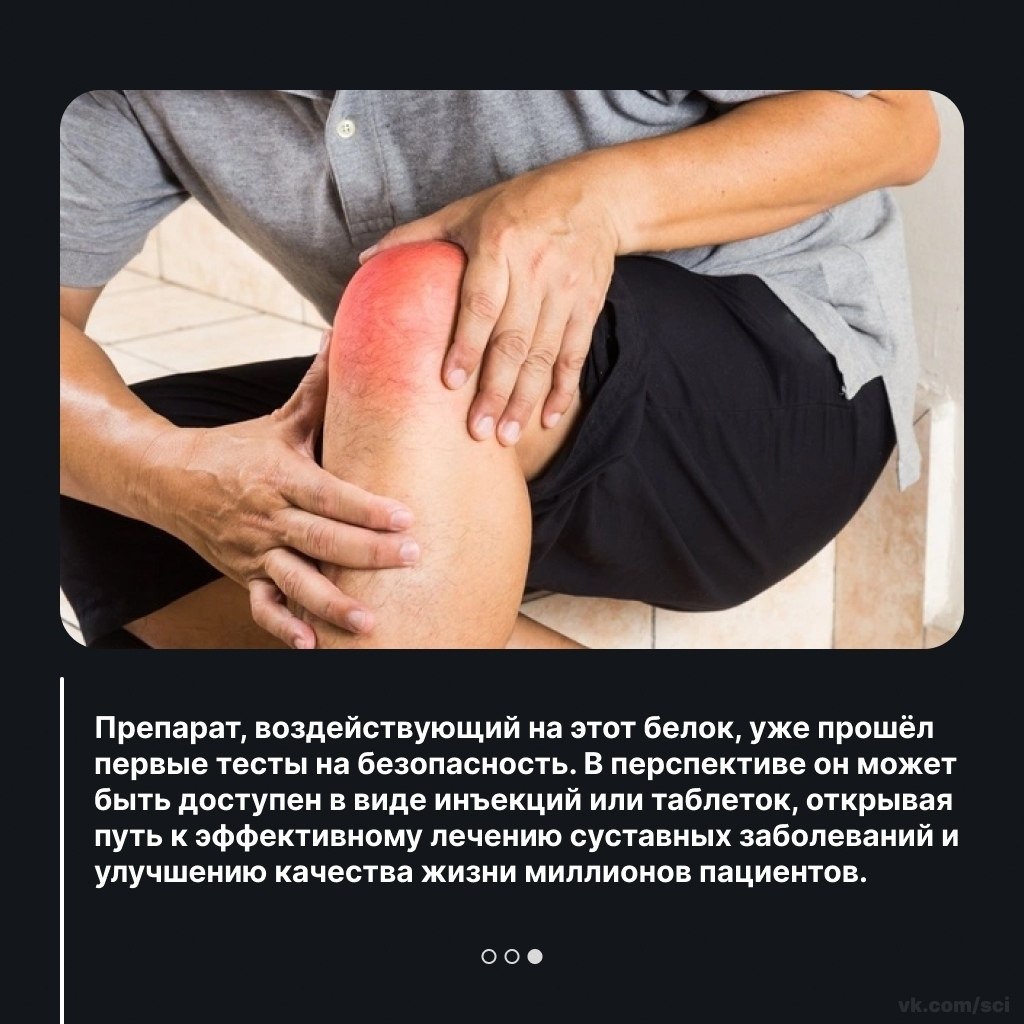 ����������� | ������ | ����� �� 5 - 8 ������ 2026 � 07:26 - 3