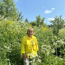 ����, ������, 70 ���