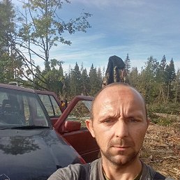 , 34, 