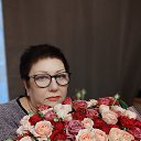 ���� ������, ������� - ��������� 26 ������� 2024 � ������ ���� ����������
