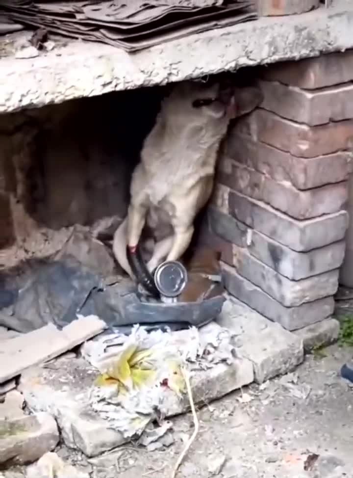 ������ ������ ������� �� ������.....