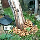 ���� �������, �����, 78 ��� - ��������� 2 ������� 2026
