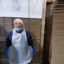 , 65, 
