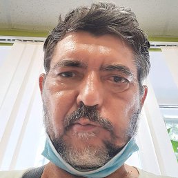 �����, �����-���������, 65 ���