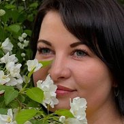 �����, 43 ����, ���������