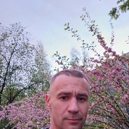 , 43, -