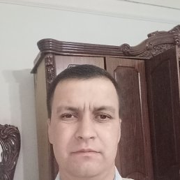, 42, 