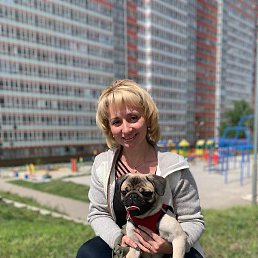 �����, ����������, 50 ���