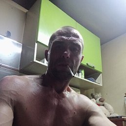 ���� �����, �����������, 48 ��� - ��������� 19 ���� 2026