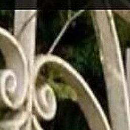 �����, ������, 55 ���