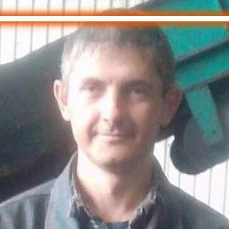 �����, �������, 41 ���