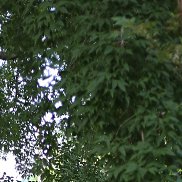 ��������, , ��������