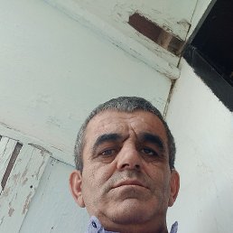 ������, 49 ���, ������