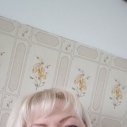 , 53, 