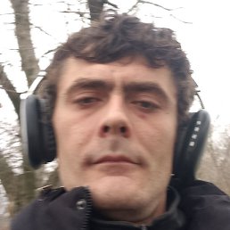 �����, ���������, 33 ����