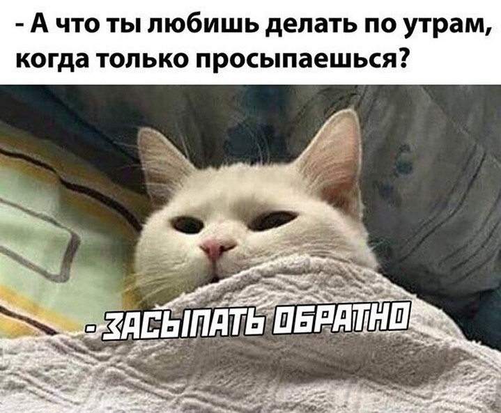 ? ,  ! - 2  2025  22:39