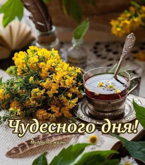 :)   ,   !        ,    ,  ...