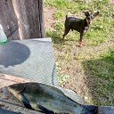 ���� ��������, �����, 67 ��� - ��������� 21 ���� 2025