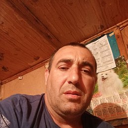 , 31, 