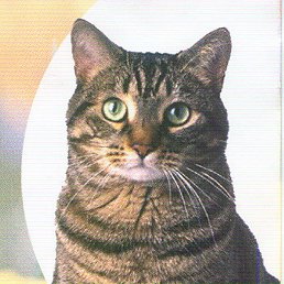 ����, ������, 21 ���