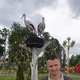 ���� ������, ����������-���������, 51 ��� - ��������� 16 ����� 2026