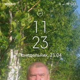 , 65, 