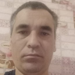 �������, ������, 36 ���