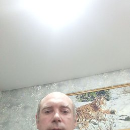 ��������, 40 ���, ���