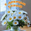 ���� ����, ������, 55 ��� - ��������� 16 ������ 2025 � ������ ���� ����������