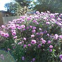 ���� Nadin, �������, 60 ��� - ��������� 30 �������� 2025 � ������ ��������