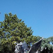 ������, 50 ���, �����������