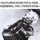 ���� ������, ������������, 62 ���� - ��������� 7 ����� 2026 � ������ ������ ��������