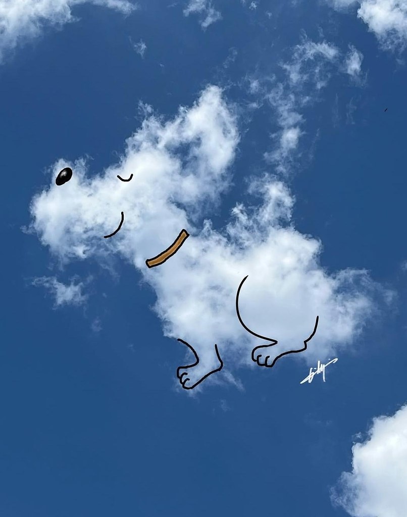 �����,��x���������� - 7
