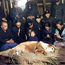 ���� �����, ������������, 77 ��� - ��������� 20 �������� 2025 � ������ ������ ��������