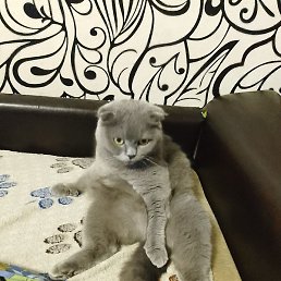 ����, ������, 45 ���