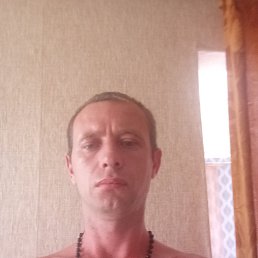 , 33 , 
