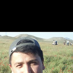 , 29, 